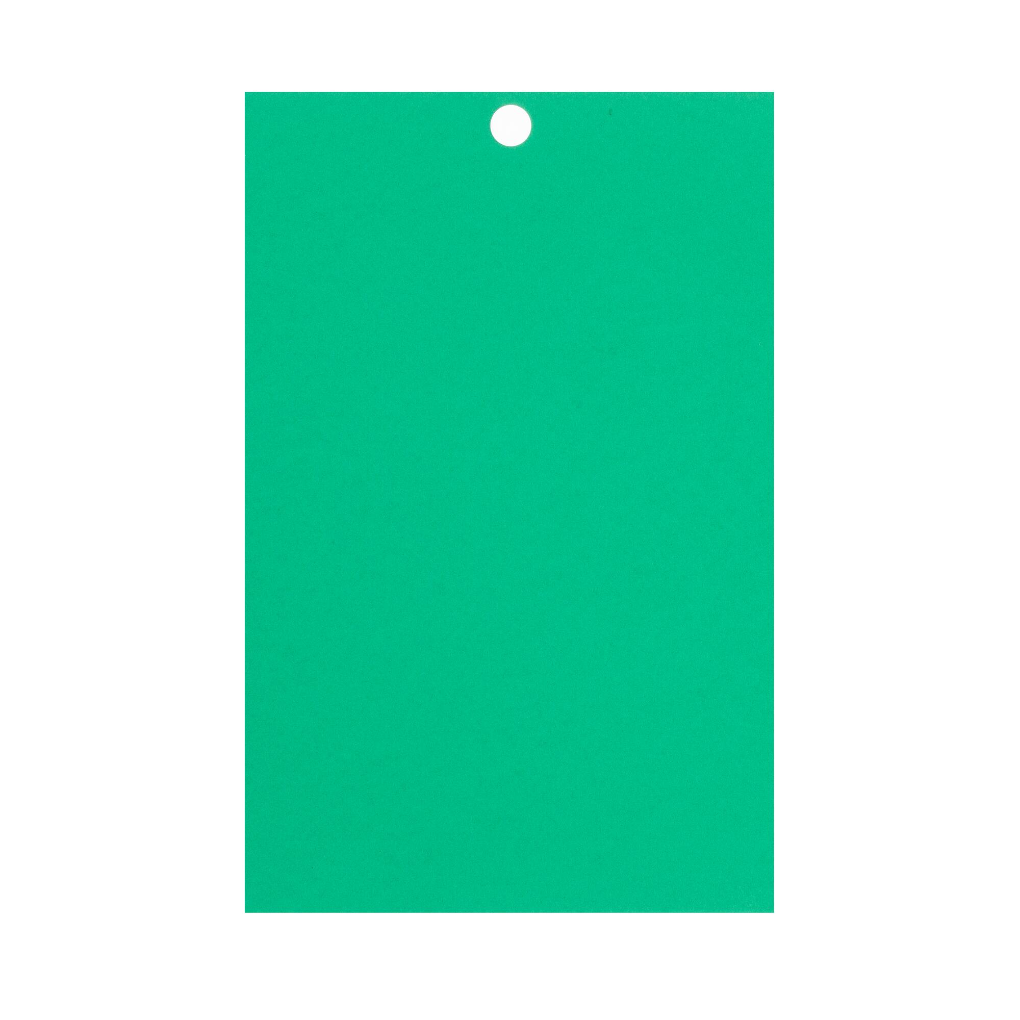 Feathered Green 4.5" x 7" Cardstock Paper by Recollections™, 100 Sheets